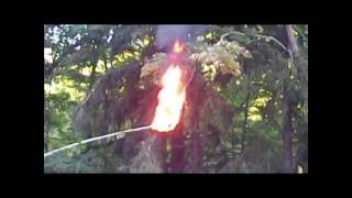The killing of a bald face hornet nest, Cleansing with fire.