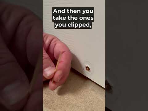 Fix a Stripped Screw Hole Using Toothpicks, In Under 2 Minutes!