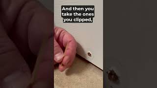 Fix a Stripped Screw Hole Using Toothpicks, In Under 2 Minutes!