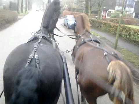 Melle en Delano - Delano 2e keer voor de wagen en 1e keer 2-span.mp4