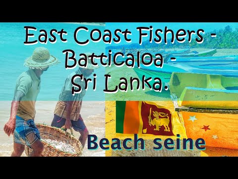 East Coast Fishers - Batticaloa - Sri Lanka | Using beach seine for fisheries | கரை வலை