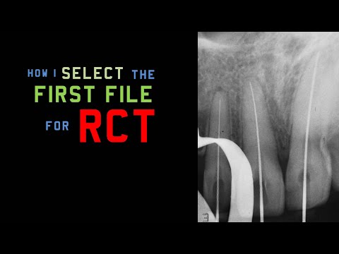 Initial Apical File for Root Canal Treatment