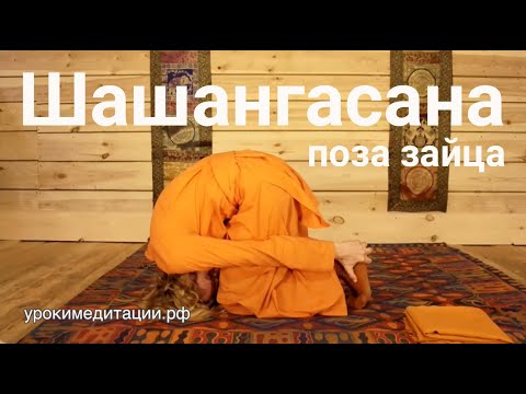 Болит поясница отдает в ногу и в спину Тренировки если болит спина в
