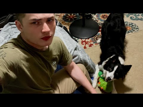 Day 484 Daily Vlog 06/22/2025