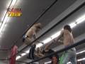 2010 07 18 KANEMOTO EL SAMURAI AKIRA Vs PRINCE DEVITT TAGUCHI TAICHI
