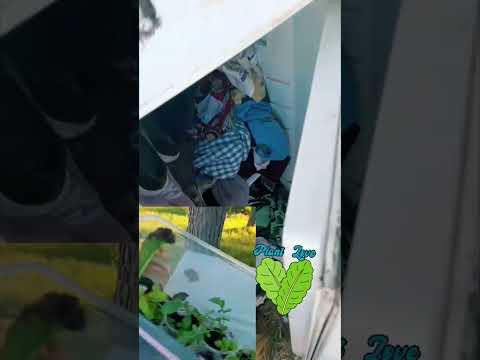 #iniciativa #vecinos #parati #uruguay #santaana #canelones #novedades #comparte