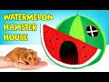 Using 3D Pen To Create A Watermelon House For A Hamster