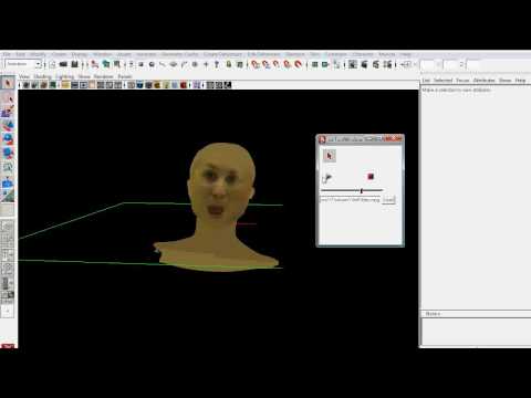 Interactive SAR preview using a head model