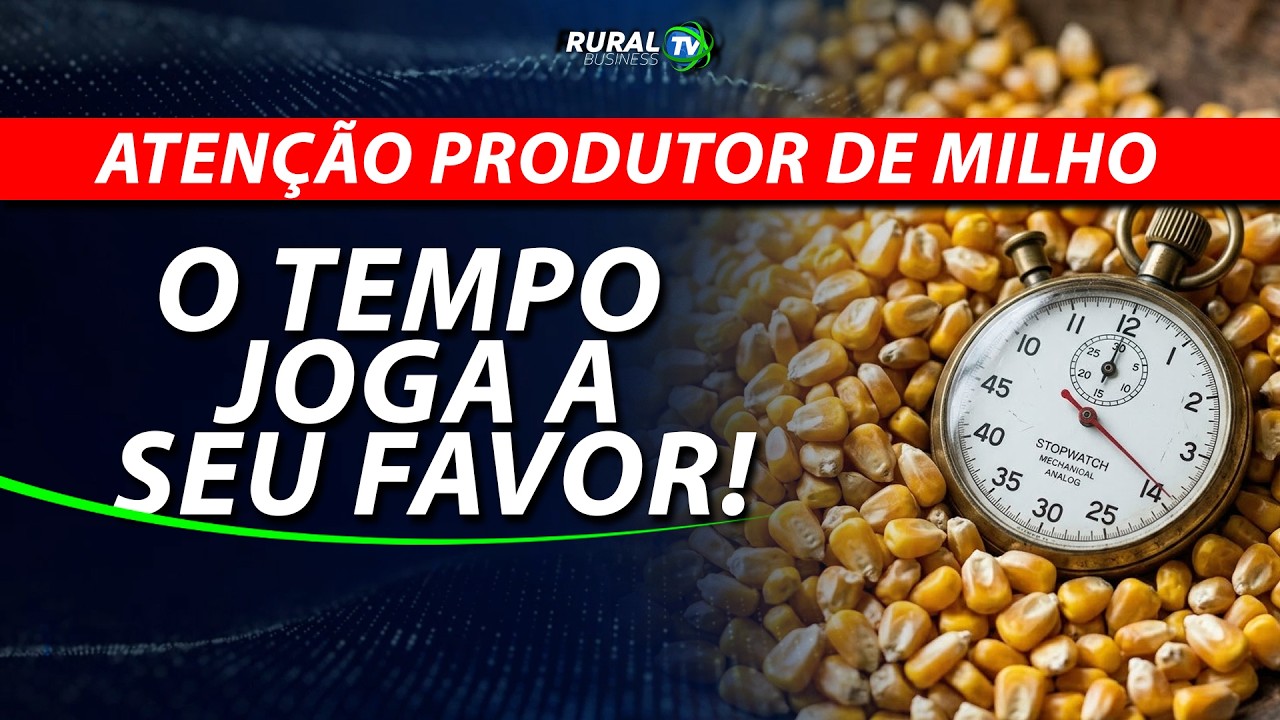 ATENÇÃO PRODUTOR DE MILHO: O TEMPO JOGA A SEU FAVOR!