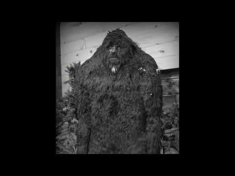 Bigfoot: A History of Mystery