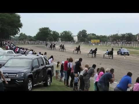 Trka "Memorijal Albe Tumbas Loketić" 28.07.2019 Arleta B. - Sive Kečenović