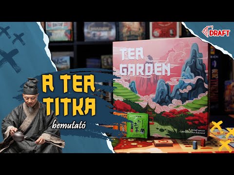 Forrón az igazi | A tea titka társasjáték bemutató - :: DRAFT :: Társasjáték vlog