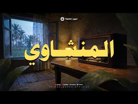 حين يقرأ المنشاوي.. تقشعر الأبدان وترتجف الأرواح والقلوب خشوعًا