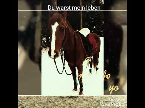 R.I.P. Sanfter Riese