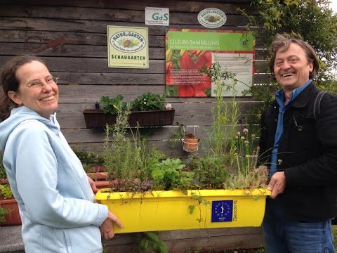 Etwas für Bienen tun, z.B. mit Beedabei