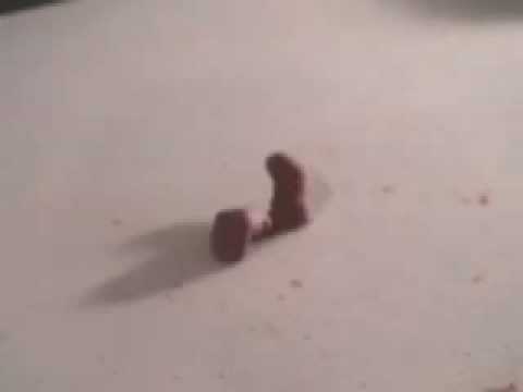 Follow You Down- Music Video- web.mov