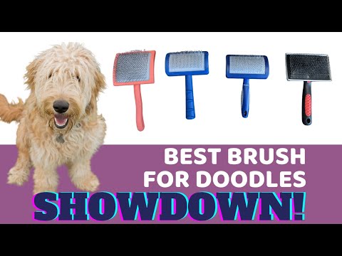 Best Brush for Doodles - Comparing 4 Slicker Brushes...