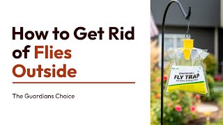 How to Get Rid of Flies Outside | 15 Steps | The Guardians Choice