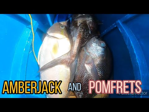 JIGGING IN THE MORNING (5:00am to 8:30am) | BUHAY DAGAT | FISHING