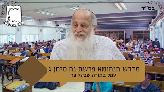 תנחומא נח סימן ג | עמל בתורה שבעל פה | רה''י הרב שמעון לפיד שליט''א (ישיבת אור עציון) - התמונה מוצגת ישירות מתוך אתר האינטרנט יוטיוב. זכויות היוצרים בתמונה שייכות ליוצרה. קישור קרדיט למקור התוכן נמצא בתוך דף הסרטון