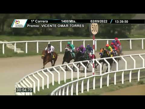 220902 c01 - AVE LEGAL - HIPODROMO LAS PIEDRAS