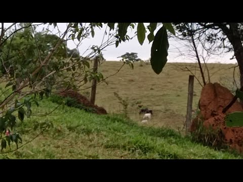 Brazil Andrelândia Minas Gerais dia frio 29/05/2026