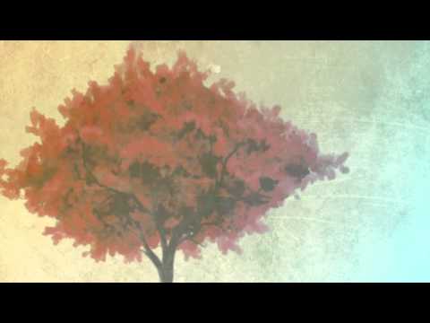 Envoi - What Happened in Wyoming (Official Lyric Video)