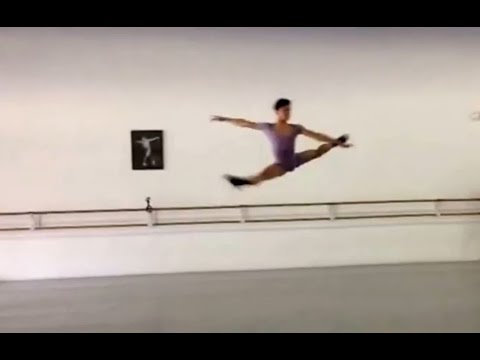 The Male Ballet Dancer (JORGE BARANI)