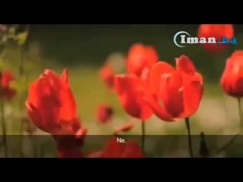 NAJLJEPŠE ŠTO ĆEŠ ČUTI O DŽENNETU - ŠEJH NEBIL EL-IVEDI