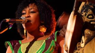 Bassekou Kouyate &amp; Ngoni Ba (live)