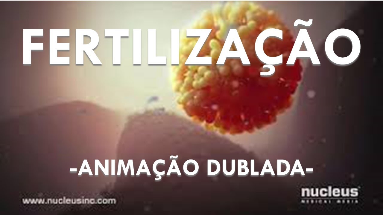 FERTILIZAÇÃO / FECUNDAÇÃO - Animação Dublada