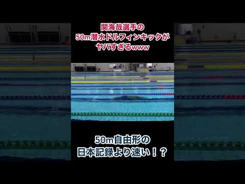 piscine-jardin-lanternes-brise-vue-verre-canape-droit