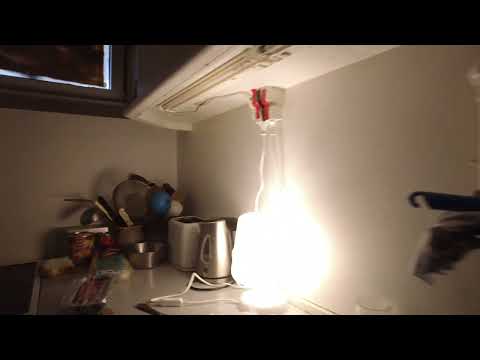 MongoTV_8433 - Min Frokost - Ristet TOASTBRØD Med LEVERPOSTEJ og HAMBURGERRYG Med SENNEP