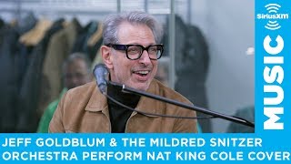 Jeff Goldblum &amp; The Mildred Snitzer Orchestra perform &#39;Straighten Up and Fly Right&#39;