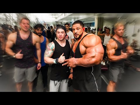 THE MOST MUSCULAR BODYBUILDER ON THE OLYMPIA STAGE - THE RETURN OF THE KING - ROELLY WINKLAAR