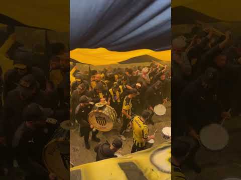 "LA MEJOR PERCUSIÓN ...#Peñarol #fyp #uruguay  #hinchada #football #viral #foryoupage #gol" Barra: Barra Amsterdam &bull; Club: Peñarol