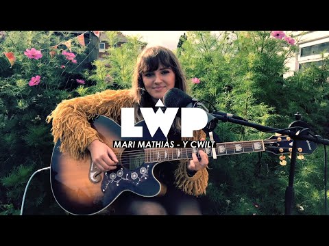 Mari Mathias - Y Cwilt