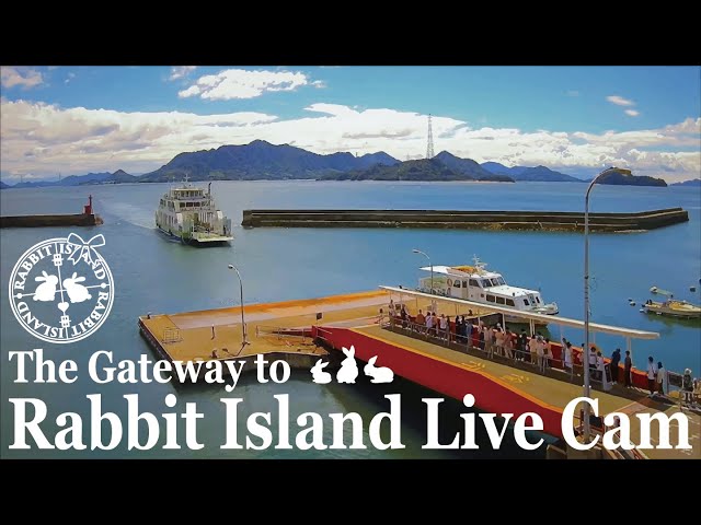 忠海港（うさぎの島の玄関口）