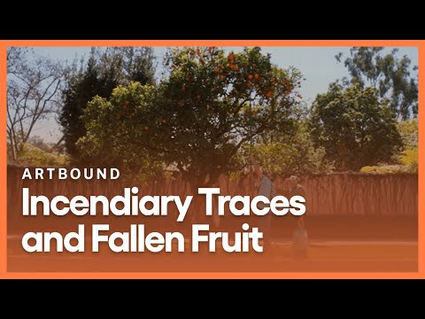 S2 E1: Incendiary Traces and Fallen Fruit