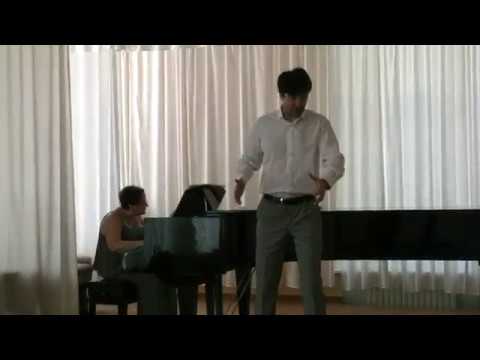 Fin ch'han dal vino. Don Giovanni (Mozart)