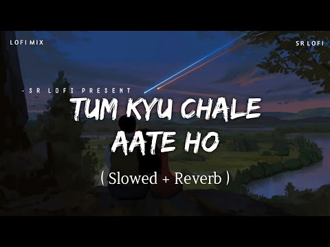 Tum Kyu Chale Aate Ho - Lofi Mix (Slowed + Reverb) | Vicky Singh | SR Lofi