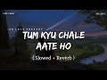 Tum Kyu Chale Aate Ho - Lofi Mix (Slowed + Reverb) | Vicky Singh | SR Lofi