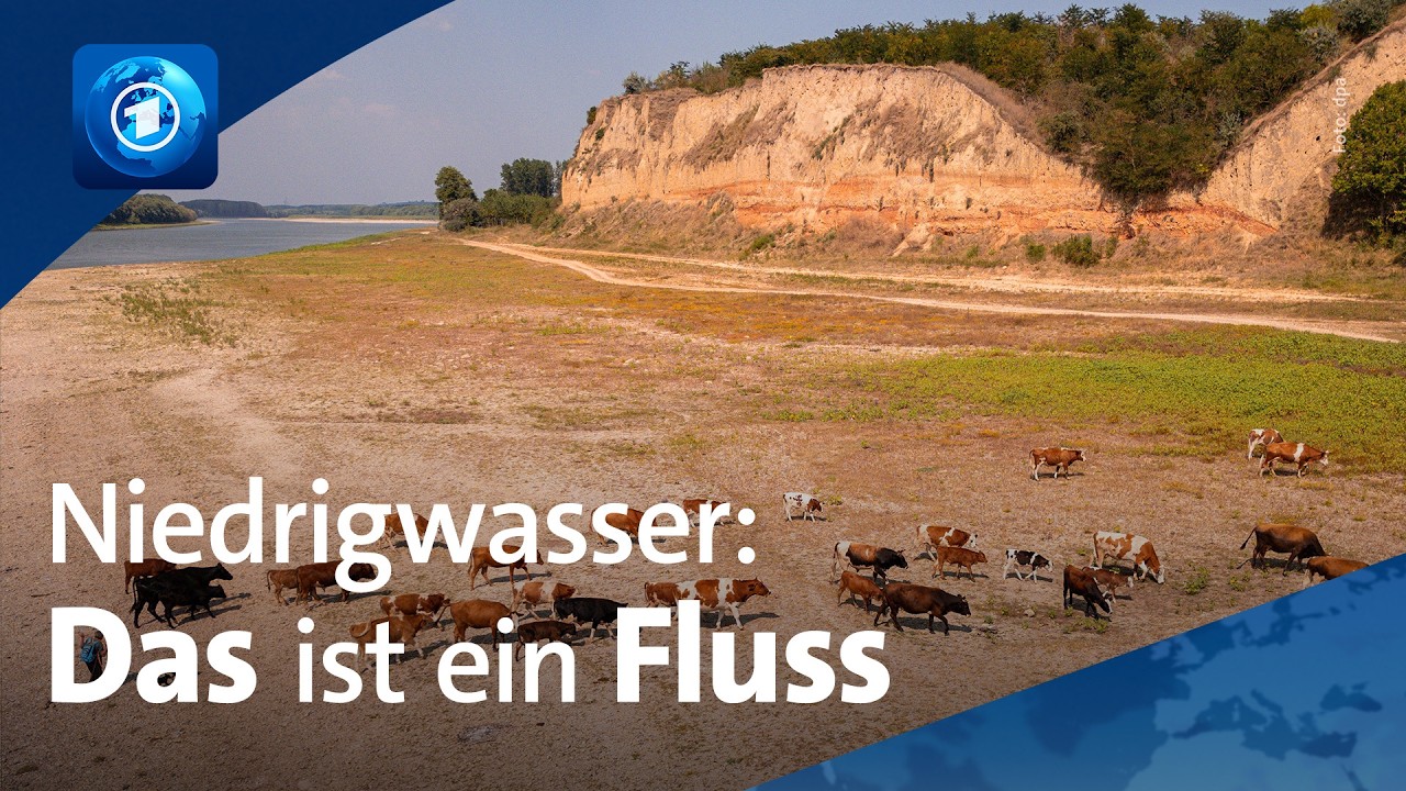 Auf dem Trockenen: Niedrigwasser-Notstand in Europa | 🌍 tagesschau24 Top-Thema, 13.8.2026