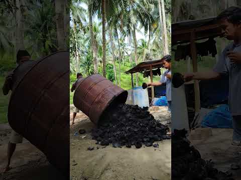 Coconut Shell Charcoal