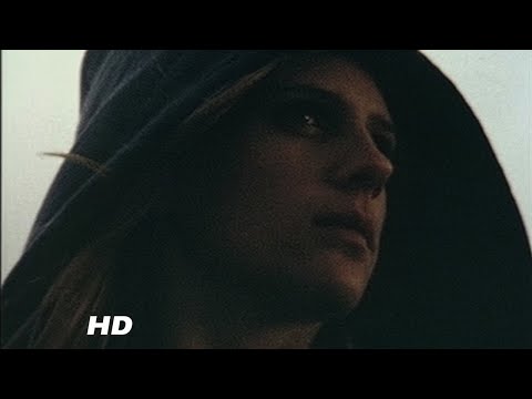 The Asphalt World - Suede