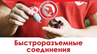 Ссылка