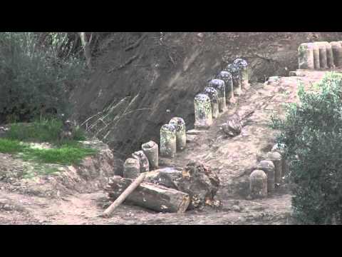 Nel Parco della Murgia materana torna alla luce il ponte tardo medievale