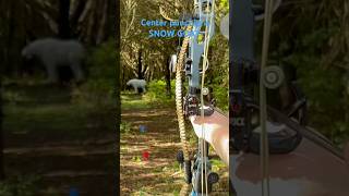 My boys still think we’re just shootin bows.