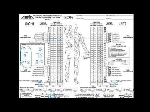 Practice Exercises on AIS C and AIS D