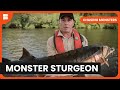 Chasing Giant Sturgeon In Canada Chasing Monsters S02 EP1 Nature Adventure Documentary